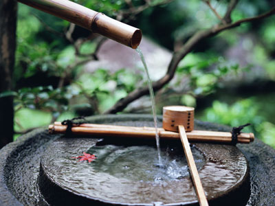 �����N�A�V�j�A�A�n�N�̂������ݗF�B���T����T�C�g�I